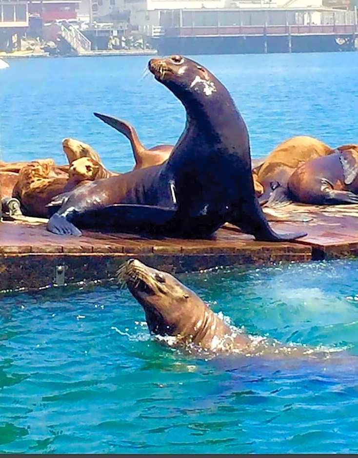 Central Coast Inn Cayucos