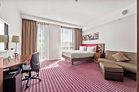 Queen Accessible Room NS