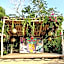 Distant Relatives Ecolodge & Backpackers