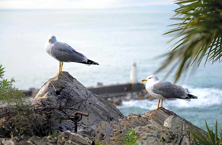 La Camogliese Hotel B&B