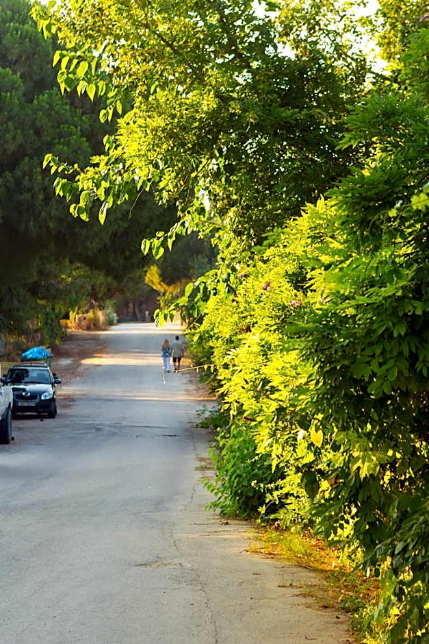 Pyrgaraki Studios and Apartments