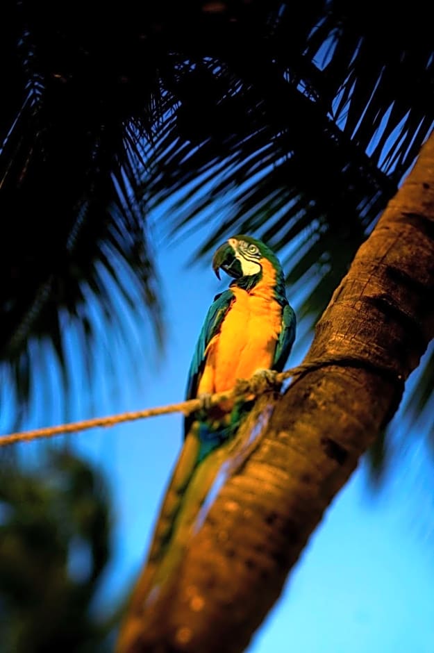 Hyatt Centric Key West Resort & Spa