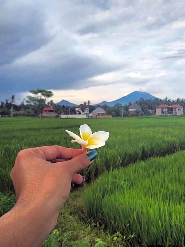 Svaha Ubud