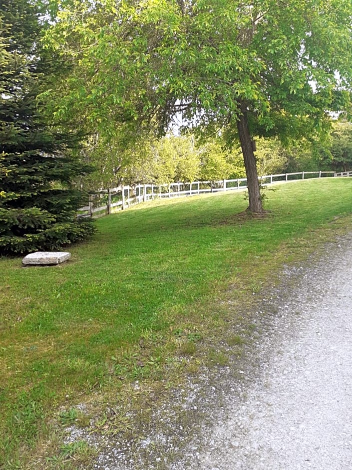 Auverg'Nature Chambre Auvergnate