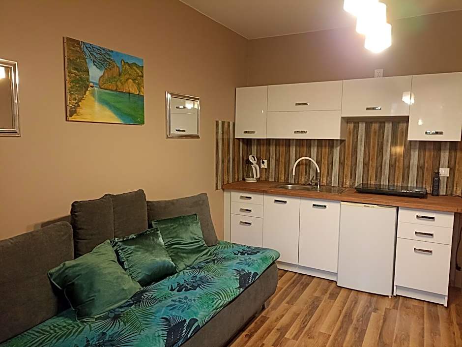 Domki i apartamenty nad jeziorem solińskim z basenem I widokiem na góry