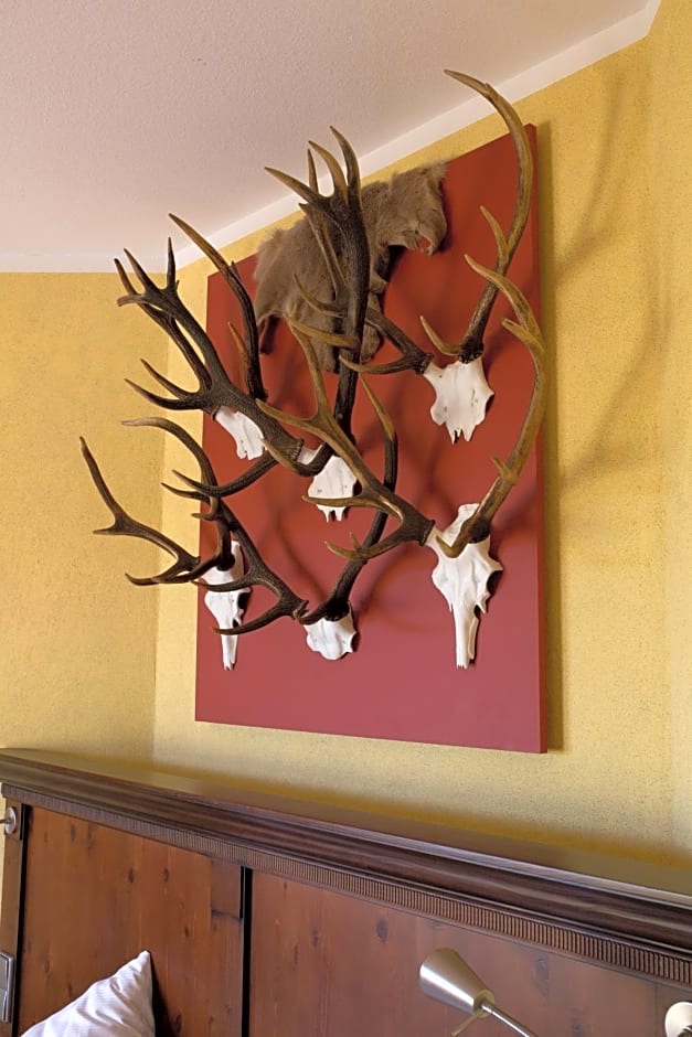 Hotel Hirsch