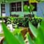 Baan Bua Guest House
