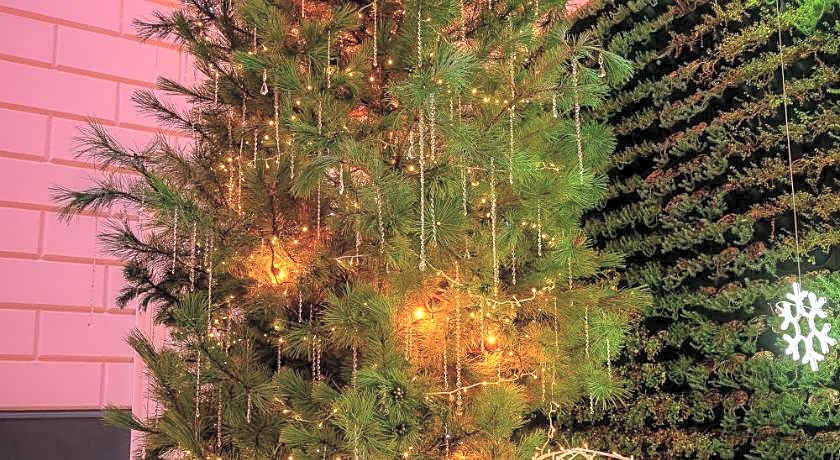 Radisson Hotel City Centre Odesa