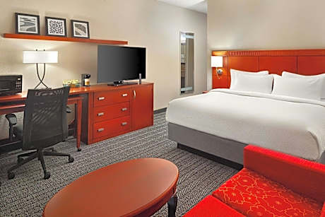 Room, 1 King Bed