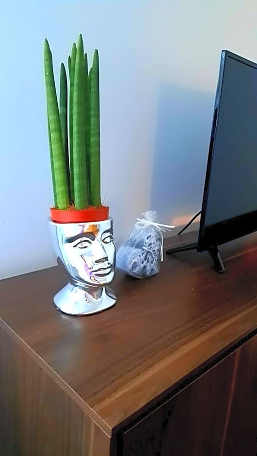 TK Apartamenty I Pokoje