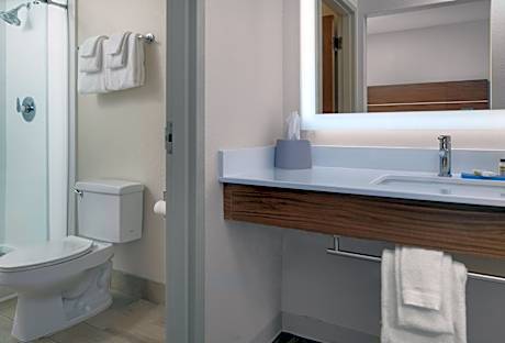 1 Bedroom Suite Pet Friendly