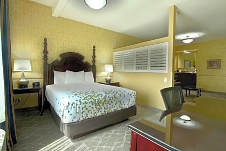 ROOM, KING BED Room Only