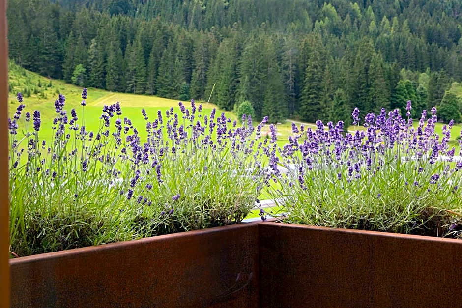 Die Filzmooserin - Apartments in Filzmoos, Filzmoos Card inklusive