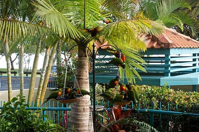 The Esplanade Riverview Holiday Apartments