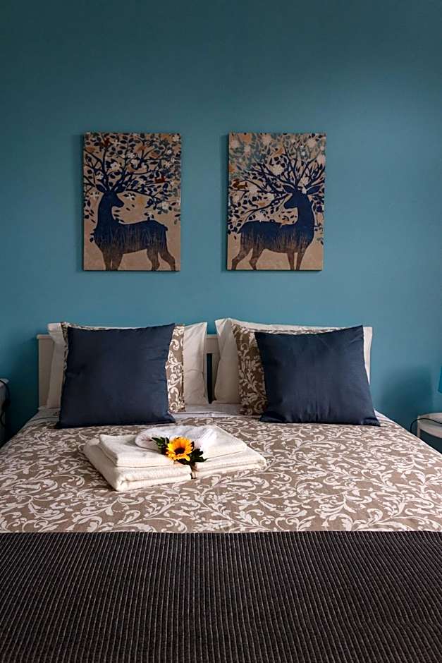 Flor&Fidalgo Guest House