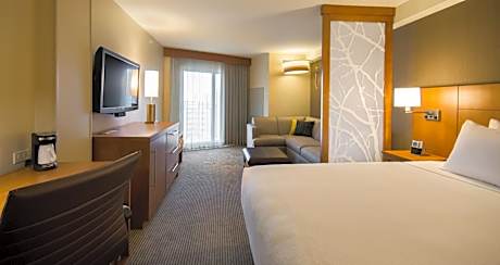 King Room with Sofa Bed