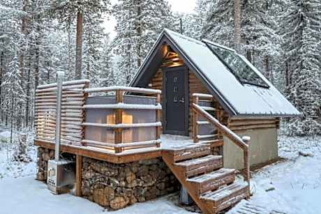 Rafi - The Village of Silence Resort, Aurora Cabin 3