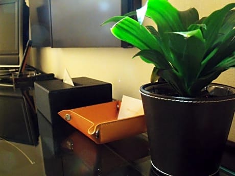 Standard Single Room - Non-Smoking