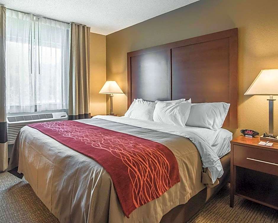 Comfort Inn Saugerties