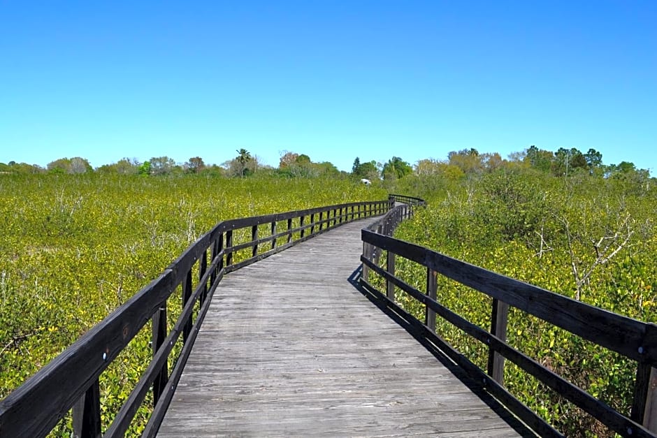 Holiday Inn Express Hotel & Suites Tampa-Oldsmar by IHG
