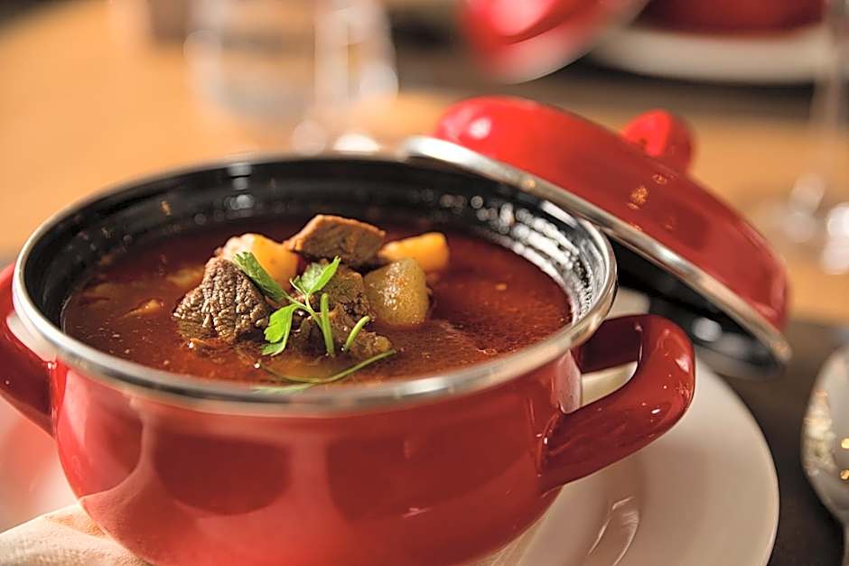 Cardoner Hotel és Konferenciaközpont