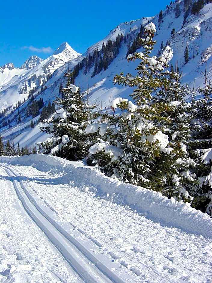 Boutiquehotel Hohes Licht