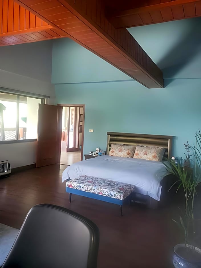 Hotel Mountain View Murree