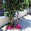 Philippos Studios & Apartments