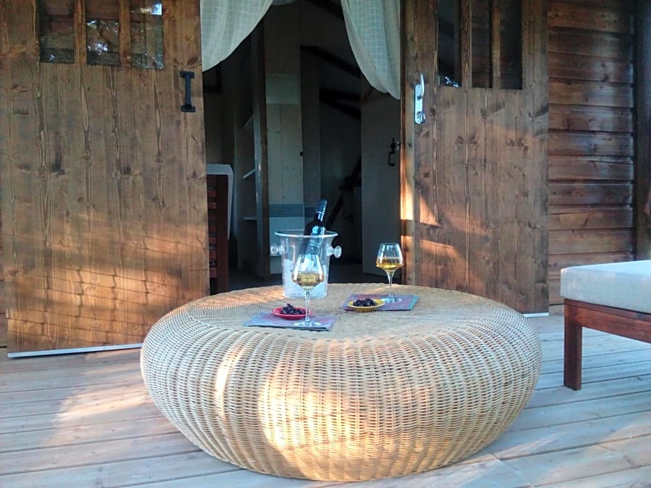 Les Lodges D'adelaide – Cahuzac-sur-Vère, CO