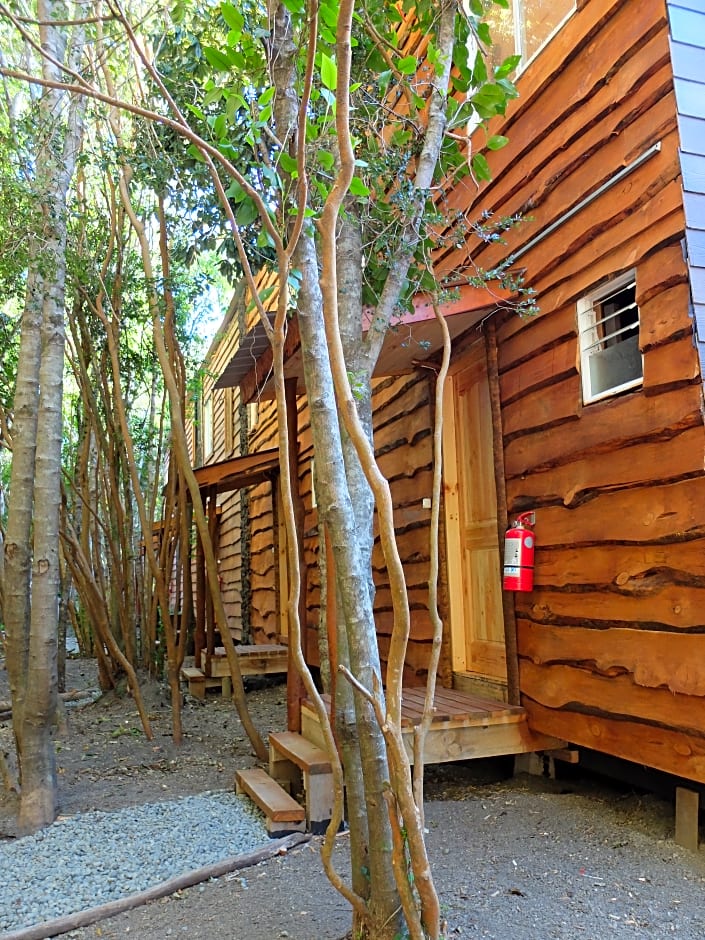 Cabañas Ensenada Bosque Nativo