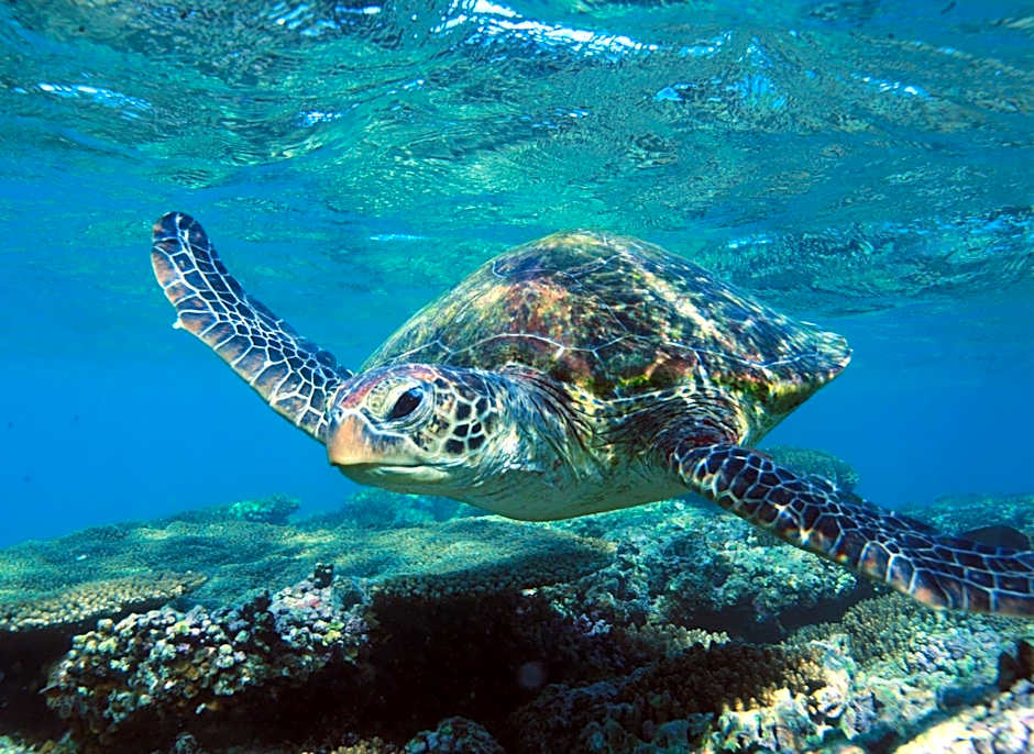 Mackerel Islands Resort