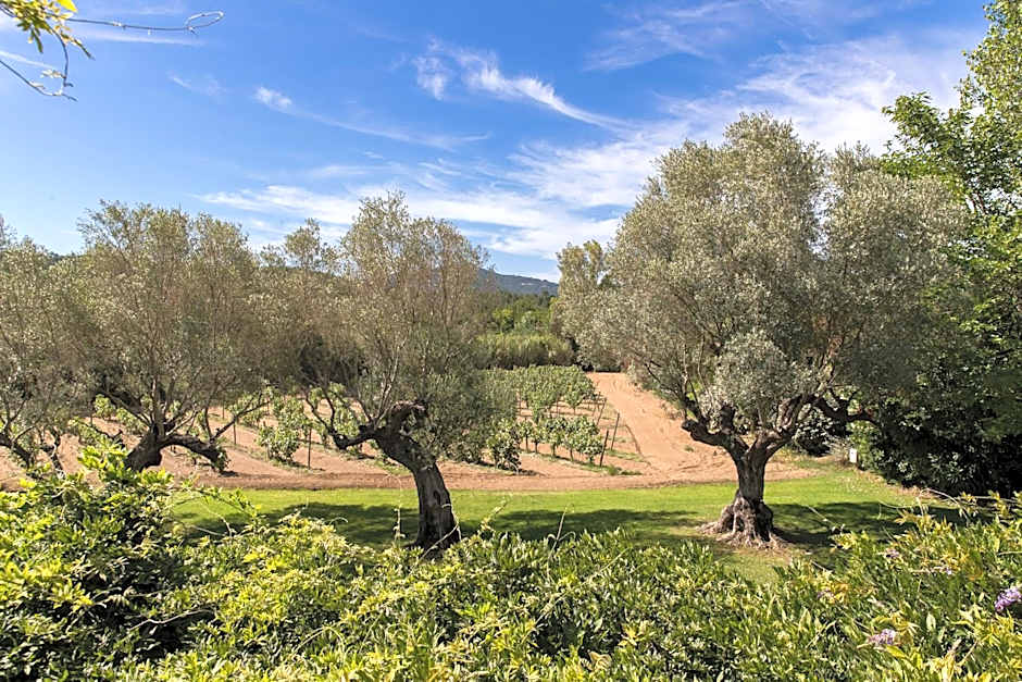 Domaine Les Mésanges