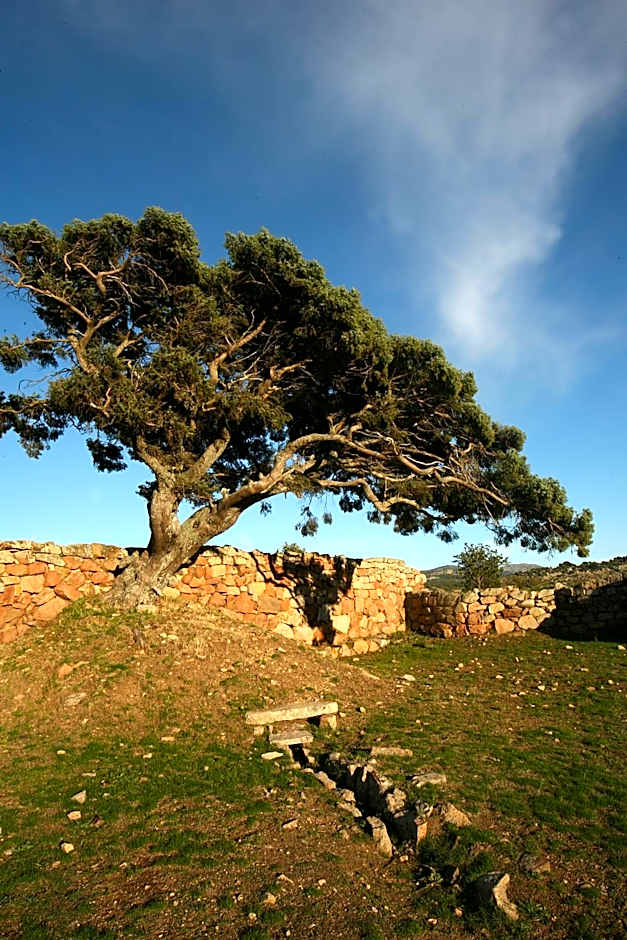 HOTEL ORLANDO Sardegna