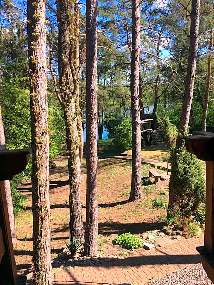Domek z bali Tryszczyn nad Brdą