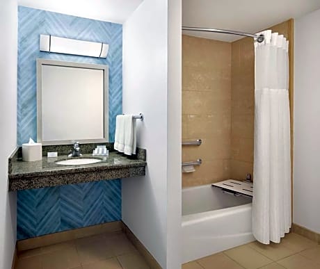 1 King Mobility Accessible W/ Bathtub