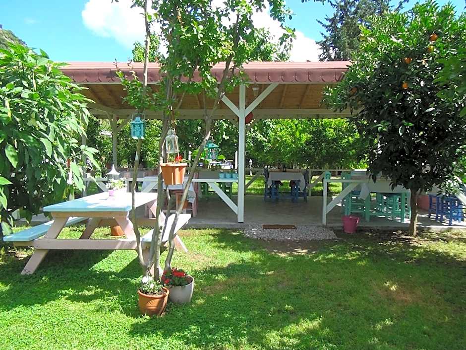 Narcicegi Hotel