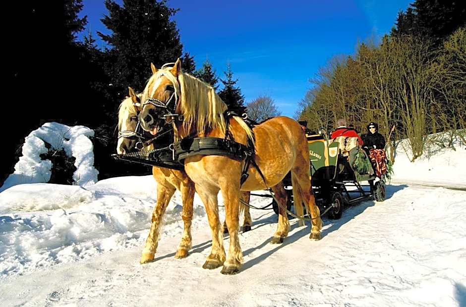 Hotel Haus Wiesengrund