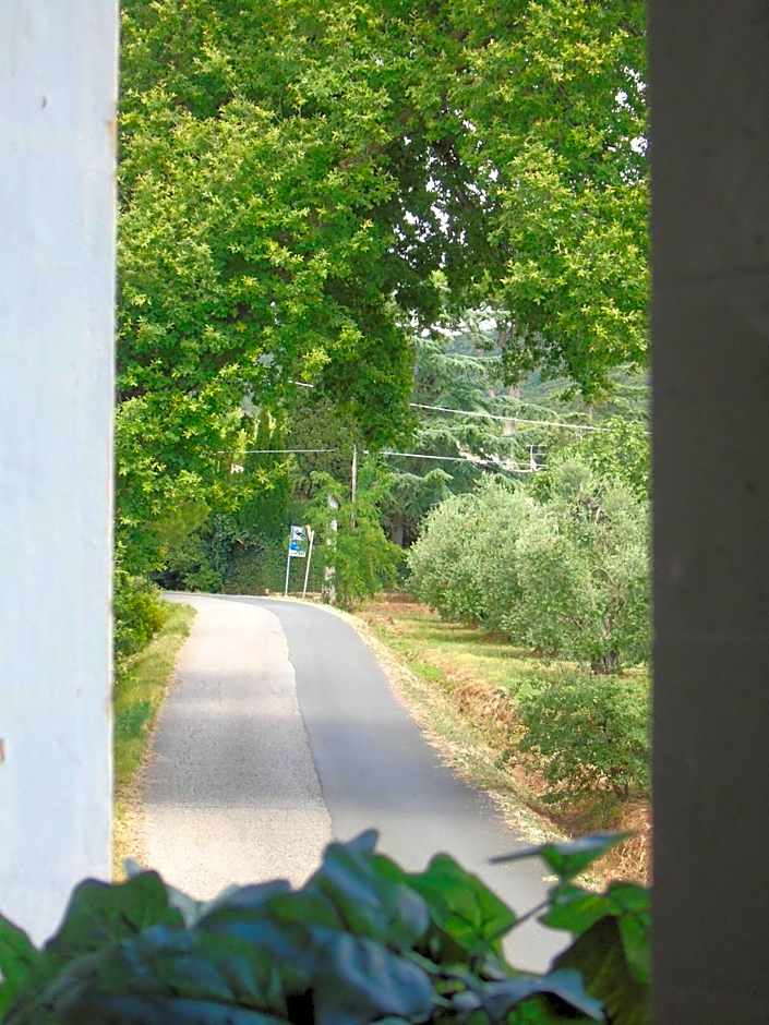 On Holiday Between Sky And Sea geco Di Campiglia pet friendly big garden