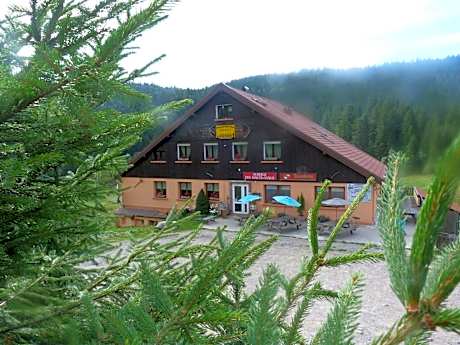 Domaine Des Hauts Viaux