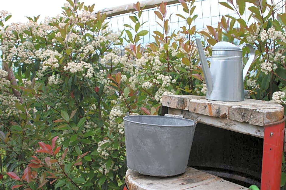 Guest House Al Devesio