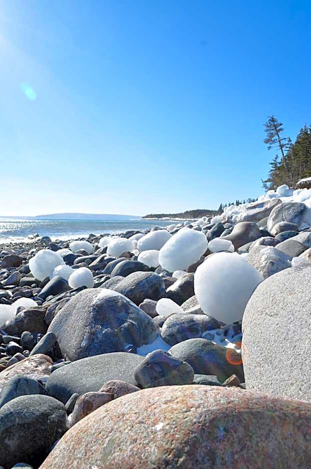 The Sleeping Moose Cottage