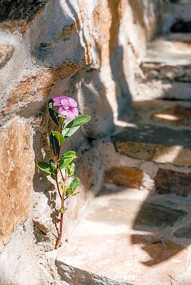 Villas La Mar - Adults 15 plus