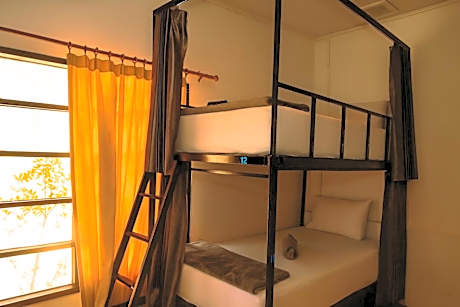 Bunk Bed in Mixed 12 Bed Dormitory Room