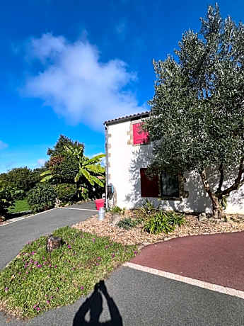 Double Room with Terrace