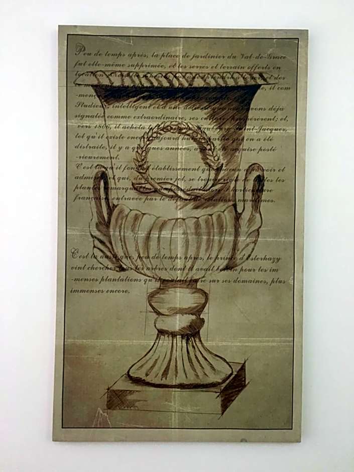 La finestra sul Colosseo B&B 1