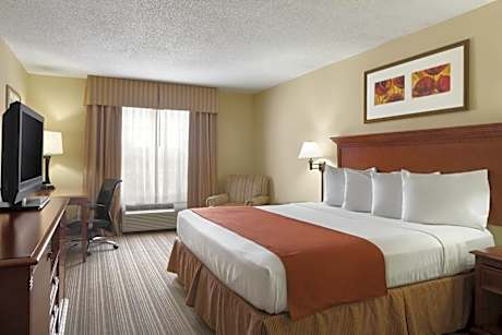 One-Bedroom King Suite