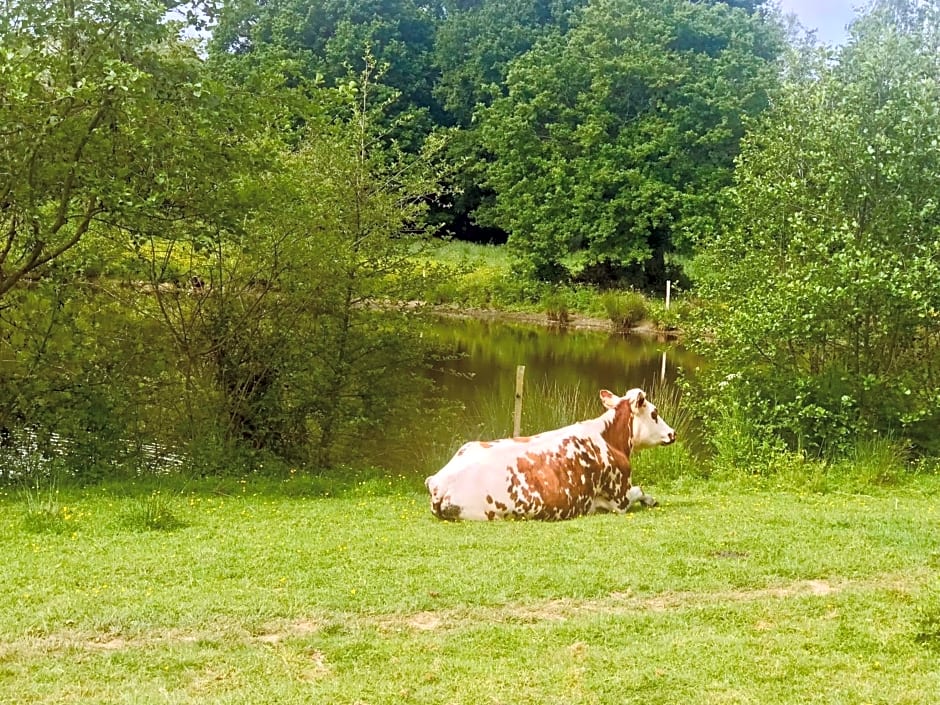 Au petit bonheur de Claire et Jo