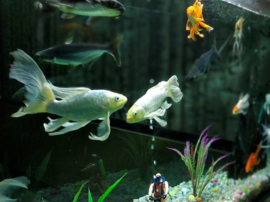 Executive Tower Hotel