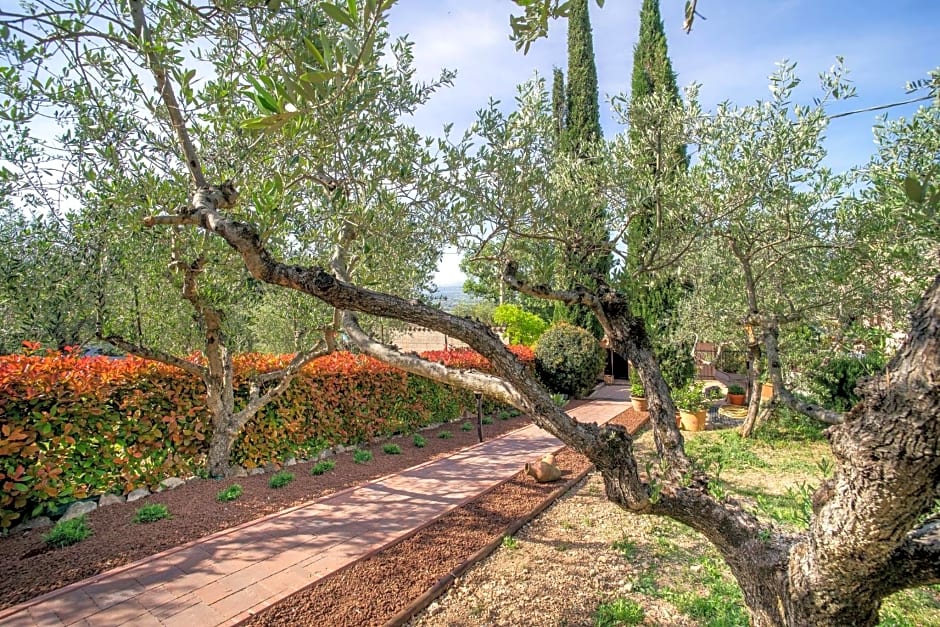 L'Agrifoglio di Assisi Residenza di Campagna