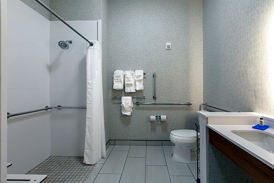 Holiday Inn Express & Suites Greenville S - Piedmont